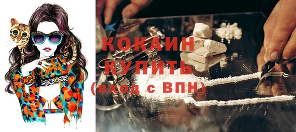 дурь Снежногорск