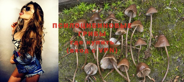 мескалин Горняк