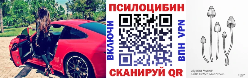 Купить  Мончегорск  Псилоцибиновые грибы Psilocybe 